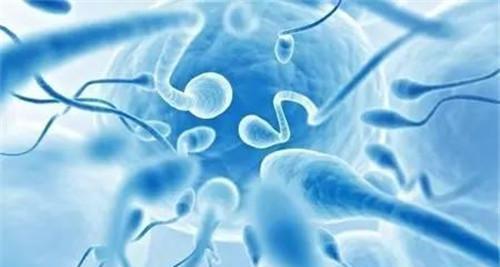 备孕两年没怀孕,一查才知道男人精子活力太低