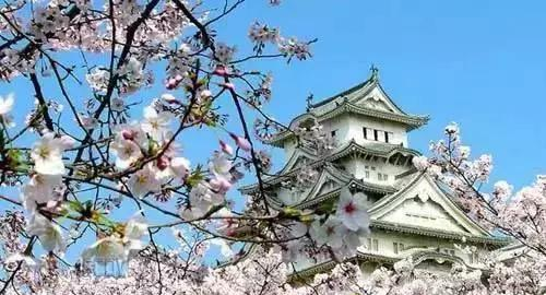 出国旅行转机时, 需要过境签怎么办?!