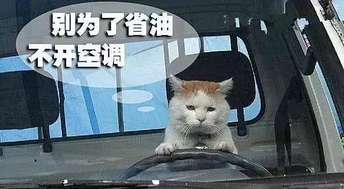 全球发动机最好十款车,看看你的这是这些牌子吗