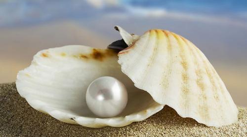 珍珠 第三十年 珍珠婚,像珍珠般的浑圆,珍贵,使人艳羡.