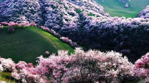 2018新疆最佳旅游时间表|南疆看人文,北疆看风