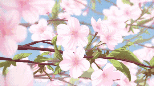 这个春天,我在厦门等你!