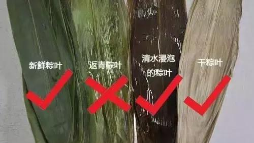 北京人当心！你买的粽子可别是这个黑作坊产的，千万别买这种粽叶