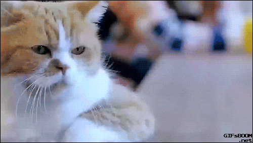 搞笑gif趣图: 别说话, 让我做一个安静的美男子!