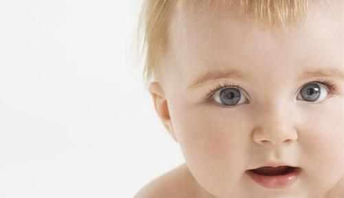 小托蒂的悲剧--不可错失的视觉敏感期