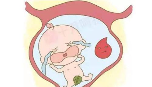胎儿在孕妈肚里好过出生10天?医生回答!