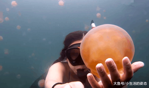 女子潜水遇到很多个外形像雨伞的东西, 准备用