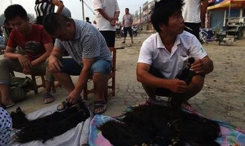 2018农村养殖业什么最赚钱?抓住个项目就别放