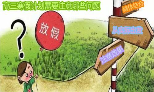 这份寒假学习计划表亮了!高中生和家长都看看