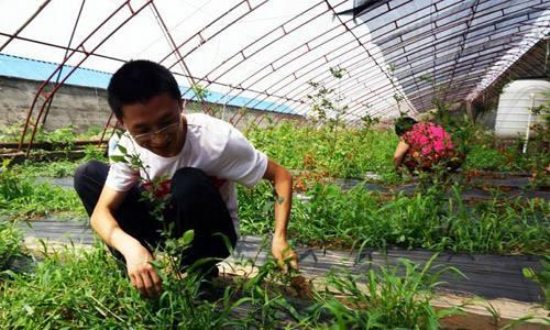 农民工的孩子,考上三本大学有必要去上吗?很多