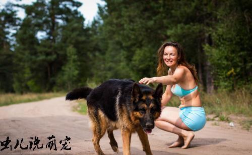 单身女人喜欢养大狗!男人们,你们仔细想过原因何在吗?!