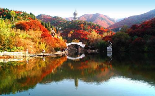 2020山东市辖区GDP_山东最强市辖区,GDP超广州黄埔和越秀,直追深圳宝安,厉害了(2)