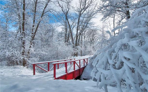 下雪高清图片