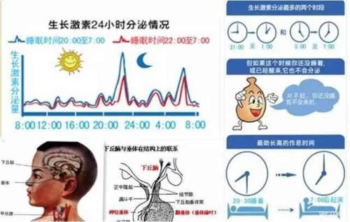 正确认识生长激素
