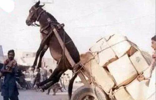 小马拉大车的SUV,快看看你中招没?