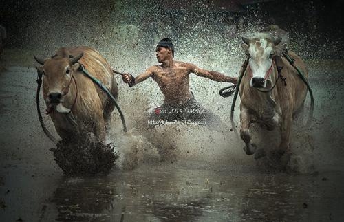 《勇敢者游戏》·百度云网盘·迅雷bt丨蓝光1