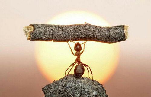 以罚代管,最不可取的企业员工管理方式