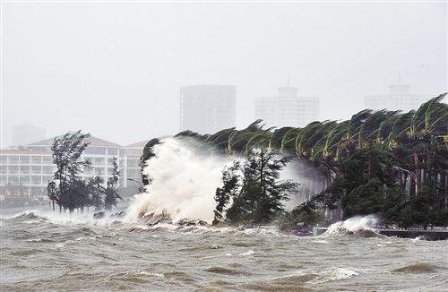 面对台风, 如何保护好自己的爱车?