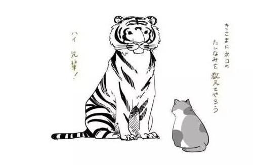 很久之前有只老虎拜师喵咪,猫做什么他做什么