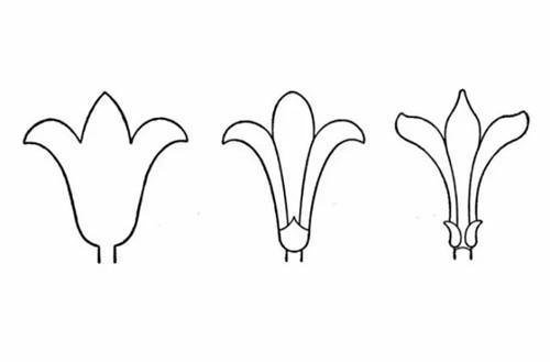 10种花朵简笔画, 美丽又生动, 适合3-8岁孩子, 妈妈再