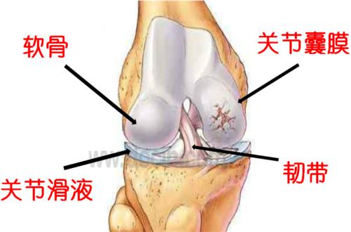滑膜炎不要再傻傻吃药打针，民间老一辈人的偏方，15天就治愈！