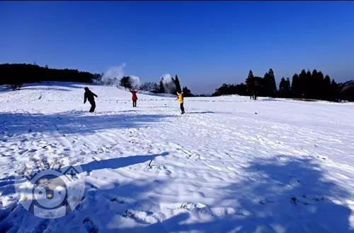 冬天怎么能错过耍雪 重庆周边10大滑雪场全攻略