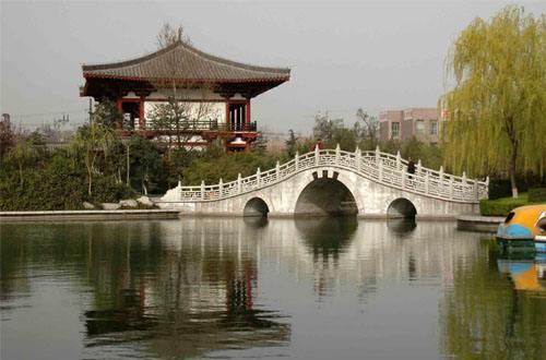 西安市这几个公园景美不远，可以免费游玩