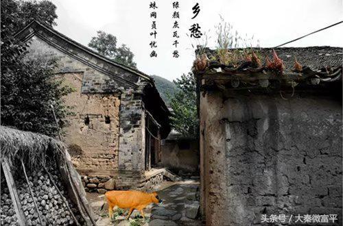 富平薛镇有个石家体育,在这里上过学的小伙伴视频小学小学v体育图片