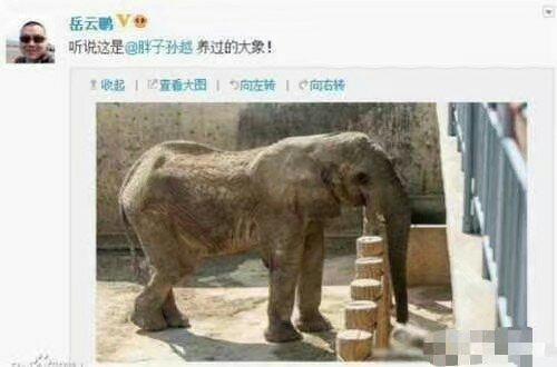岳云鹏的搭档孙越，体重300多斤，他的妻子长这样，这才是真爱