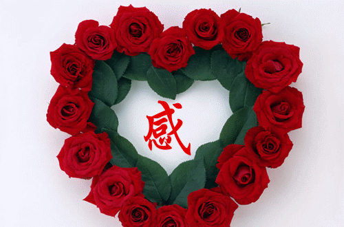 南无观世音菩萨灵签，一签求运势，签签得好运