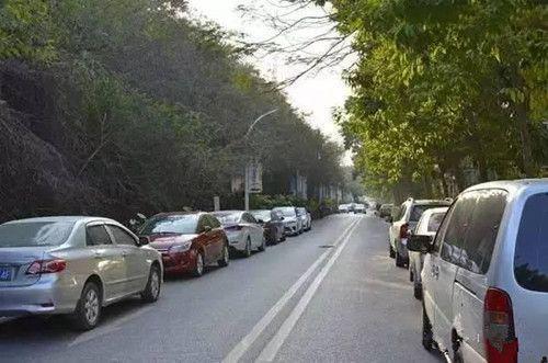 看到交警拍照贴条怎么办 2个办法让你免受惩罚