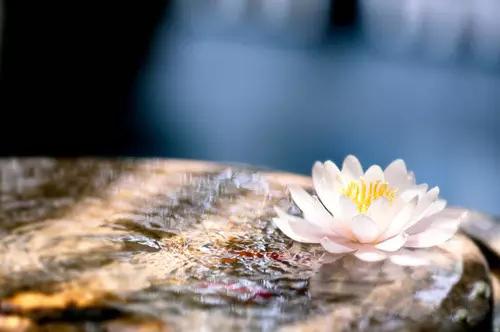 人生就是一种修行,生活就是一种磨练(写的真好