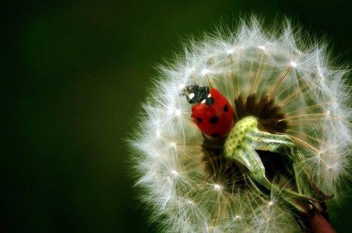 非常经典的句子,时间很无情,它会把你欠下的对