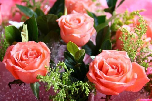 情人节男友发给我一个微信红包,看到他发的朋