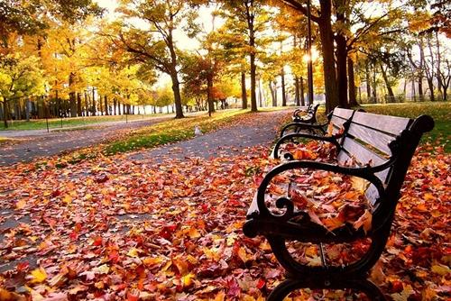 激励自己励志语录,自信温暖唯美句子