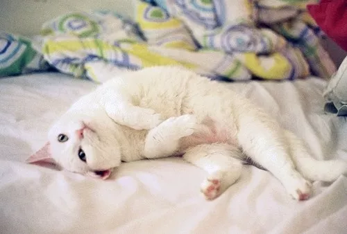 短一点的超拽句子,最新霸气个性签名!