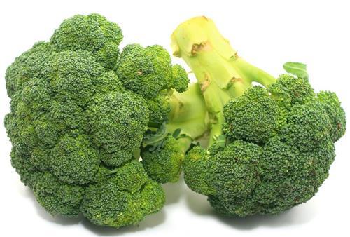 小金毛泪痕眼屎怎么办,金毛有泪痕和眼屎怎么处理