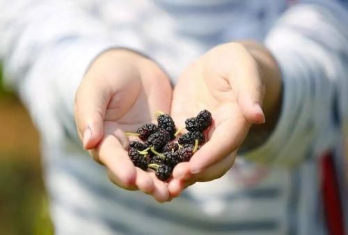 芒果直接吃、一天吃5个以上荔枝…这些儿童吃