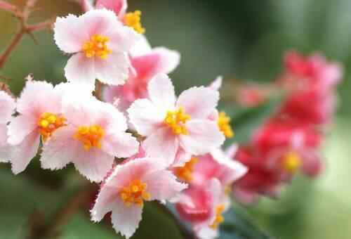 适合发朋友圈说说的心情句子 逗逼又扎心总有