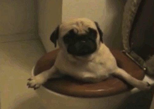 原本是要打扫马桶的,结果.