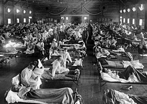 有哪些改变人类历史走向的毁灭性传染病?