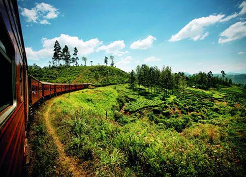 只要有护照和信用卡,申请斯里兰卡签证百分百