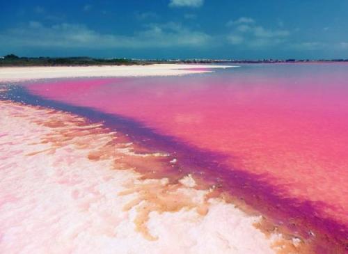 你见过这么高颜值的粉红湖吗?传说中的第一网红湖