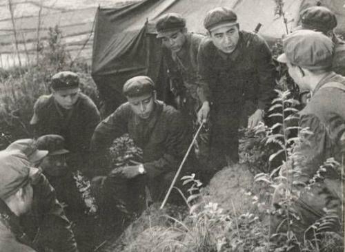 中越战争秘闻: 对越自卫反击战 解放军29个陆军师歼敌英雄榜