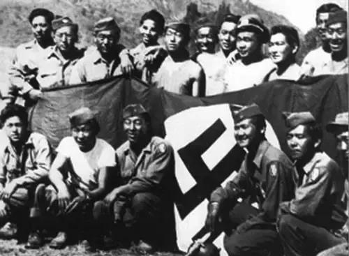 以鲜血证明忠诚：二战美军日裔部队第442步兵团简史