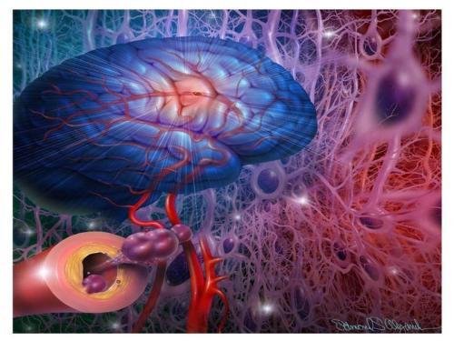 脑血栓的4大征兆,年轻人要警惕,平时多吃一点它,血管不堵!