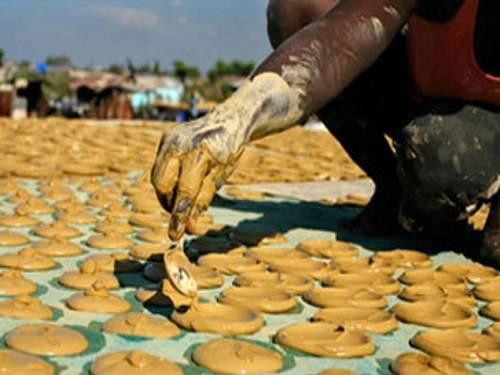 中国人最讨厌的 却是非洲人最爱的 蚊子肉堡一