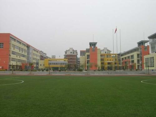 湖北省20大最好的小学, 武汉外国语小学称霸, 