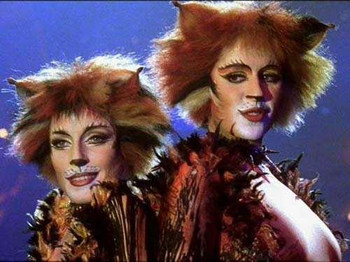 歌剧猫 新浪（移动端）