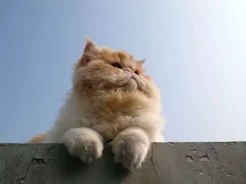 这世上最遥远的距离是:别人已放假,你却还在上